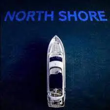 《北岸疑云》：平静小镇暗藏杀机，探寻真相的惊悚之旅！