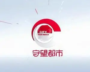 《守望都市2021》：当科技失控，谁来守护正义？未来都市的暗黑预言！