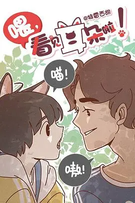 《喂，看见耳朵啦》：超萌漫画改编，人与猫耳少年奇幻同居的温馨治愈之旅！